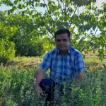 پروفایل متخصص آقای امیری